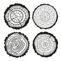 Tree rings. Set of cross section Royalty Free Stock Photo