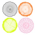 Tree rings. Set of cross section