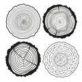 Tree rings. Set of cross section