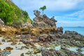 The tree on the rock, Khai Nok island, Phuket, Thailand