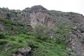 A tree among the rocks. Kura Gorge 0226