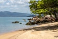 Tree, rocks and shadows on the beach