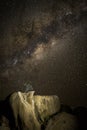 Tree and rocks under stars