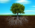 The tree and rood Royalty Free Stock Photo