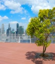 Tree roof top skyscraper Singapore Royalty Free Stock Photo