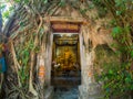 Tree root covering ancient temple : Wat Bang Kung at Amphawa