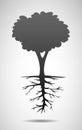 Tree and root illustration Royalty Free Stock Photo