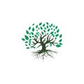 Tree root logo vector design illustration. Royalty Free Stock Photo