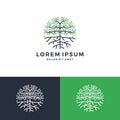 tree and root logo