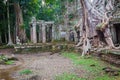 Tree root overgrowing parts of ancient Preah Khan Temple at angk