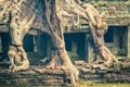 Tree root overgrowing parts of ancient Preah Khan Temple at angk