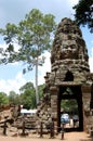 Tree roots and Ancient ruins antique building Prasat Ta Prohm or Ancestor Brahma temple of Angkor Wat for Cambodian people