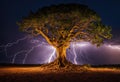 A tree with roots that become lightning bolts.