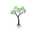 Tree with the roots, green spring tree vector illustration