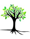 Tree with roots. greeny. logo Royalty Free Stock Photo
