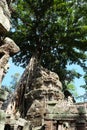 Tree Roots Growing over Ta Prohm Temple, Angkor Wat, Cambodia. Ancient Ruins. Tree roots over the Ta Prohm Rajavihara, a temple at