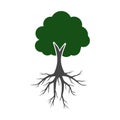 Tree And Roots icon, Tree And Roots logo Royalty Free Stock Photo