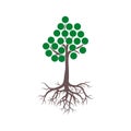 Tree And Roots icon, Tree And Roots logo Royalty Free Stock Photo