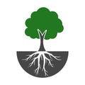 Tree And Roots icon, Tree And Roots logo Royalty Free Stock Photo