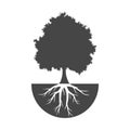 Tree And Roots icon, Tree And Roots logo Royalty Free Stock Photo