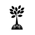 Tree and roots icon vector sign and symbol isolated on white background, Tree and roots logo concept Royalty Free Stock Photo