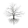 Tree with roots and without leaves. Black silhouette of tree. Vector illustration. Royalty Free Stock Photo