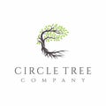 Tree and roots logo design vector isolated, abstract tree logo design Royalty Free Stock Photo