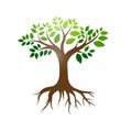 Tree roots logo vector illustration.