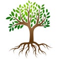 Tree roots logo vector Royalty Free Stock Photo