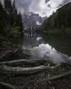 Tree roots with reflections in the water at Lake Braies in the Dolomites, near Cortina D`Ampezzo Royalty Free Stock Photo