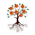 Tree with roots and ripe fruits cartoon image