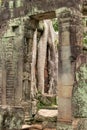 Tree roots seen through stone temple arch Royalty Free Stock Photo