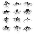 Tree roots set Royalty Free Stock Photo