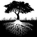 Tree roots silhouette Royalty Free Stock Photo