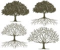 Tree & Tree Roots Silhouette Collection Royalty Free Stock Photo