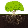 Tree roots sketch Royalty Free Stock Photo