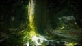 tree roots and sunshine in a green forest Royalty Free Stock Photo