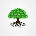 Tree with the roots vector illustration