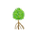 Tree and roots vector, mangrove tree illustration, mangrove plant