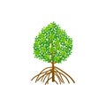 Tree and roots vector, mangrove tree illustration, mangrove plant Royalty Free Stock Photo