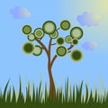 tree with a round crown on a blue background with green grass Royalty Free Stock Photo