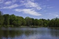 The Tree`s Reflecting on the Lake Royalty Free Stock Photo