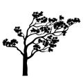 Tree sakura silhouette. Vector illustration. Royalty Free Stock Photo
