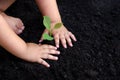 Tree sapling Baby Hand On the dark ground, the concept implanted children`s consciousness into the environment
