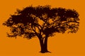 Tree in savanna