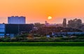 The tree sawmill factory of Rhenen during sunset, rural scenery, The netherlands Royalty Free Stock Photo