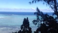 Tree and sea