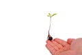 Tree Seedling on Finger