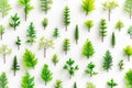 tree seedlings arranged in a pattern to create a visually striking and organized display against a white background