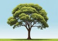 The tree is set against a clear blue sky with a flat grass-covered ground Royalty Free Stock Photo